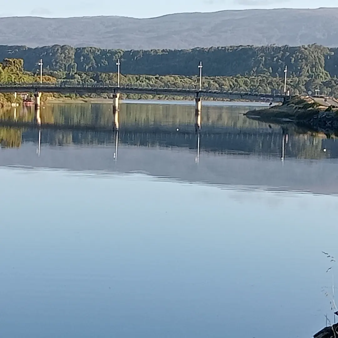 Puente que lleva al parque nacional chiloe 